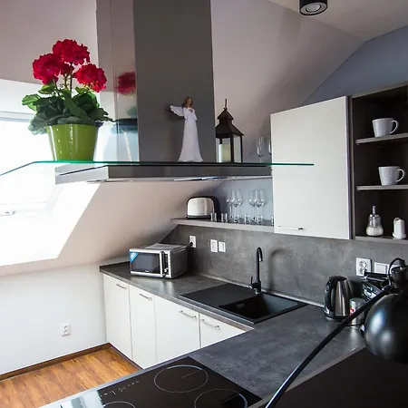 Apartmany U Sv. Krystofa Bzenec Exterior photo